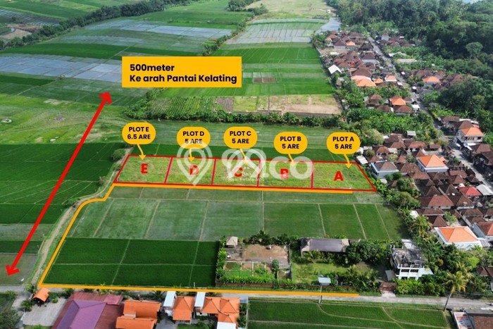 Tanah Kavling Dekat Pantai Zona Pariwisata Kelating Bali Tanah Kavling Dekat Pantai Zona Pariwisata Kelating Bali