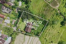 Kavling Tanah di Ubud Dijual Luas 3100m2 Legalitas SHM Kavling Tanah di Ubud Dijual Luas 3100m2 Legalitas SHM