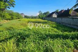 Tanah Dijual Area Strategis di Buwit Tabanan 1600m2 Tanah Dijual Area Strategis di Buwit Tabanan 1600m2