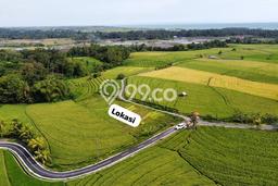 Tanah Kavling Dijual di Tabanan dengan Spesifikasi 2330m2 Tanah Kavling Dijual di Tabanan dengan Spesifikasi 2330m2