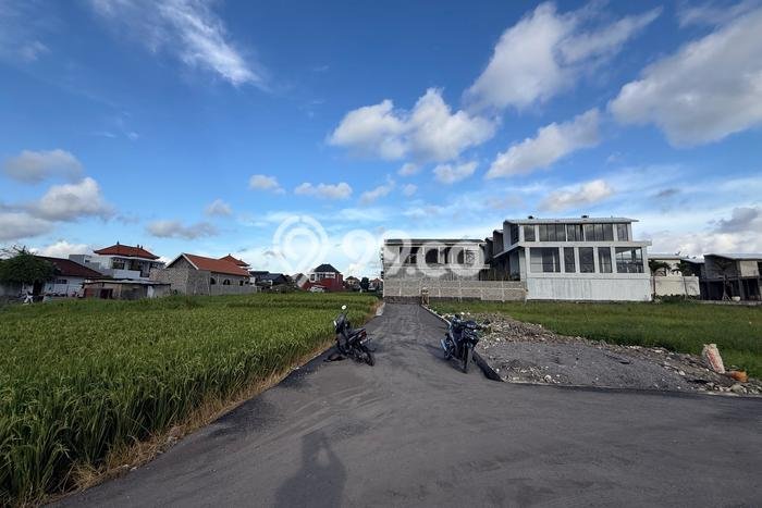 Lahan Investasi Lokasi Mengwi Badung SHM Lahan Investasi Lokasi Mengwi Badung SHM