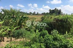 Tanah Kavling Dijual di Gianyar dengan Spesifikasi 710m2 Tanah Kavling Dijual di Gianyar dengan Spesifikasi 710m2