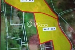 Dijual Tanah 4000m2 di Megati, Tabanan Dijual Tanah 4000m2 di Megati, Tabanan