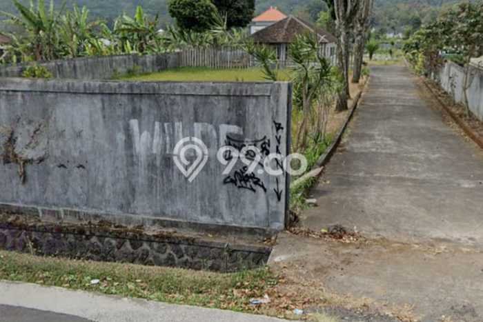 Kavling Tanah untuk Dijual di Pancasari, Buleleng, Luas 5000m2 Kavling Tanah untuk Dijual di Pancasari, Buleleng, Luas 5000m2