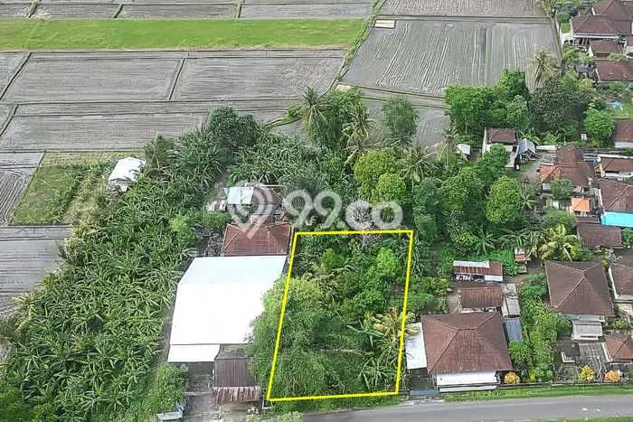Tanah untuk Disewa di Tabanan Luas 600m2 Tanah untuk Disewa di Tabanan Luas 600m2