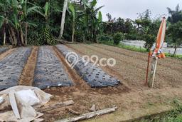Tanah Siap Bangun Dijual di Tabanan Punya Luas 200m2 Tanah Siap Bangun Dijual di Tabanan Punya Luas 200m2