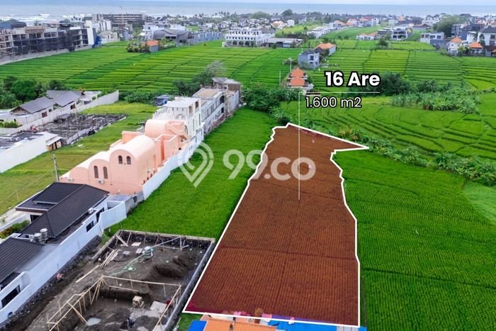 Tanah untuk Disewa di Badung Luas 1750m2 Tanah untuk Disewa di Badung Luas 1750m2