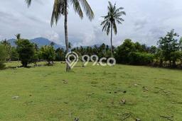 Tanah Dijual Area Strategis di Singaraja Buleleng 4800m2 Tanah Dijual Area Strategis di Singaraja Buleleng 4800m2