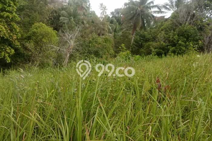 Lahan Investasi Lokasi Likupang Timur Minahasa Utara AJB Lahan Investasi Lokasi Likupang Timur Minahasa Utara AJB