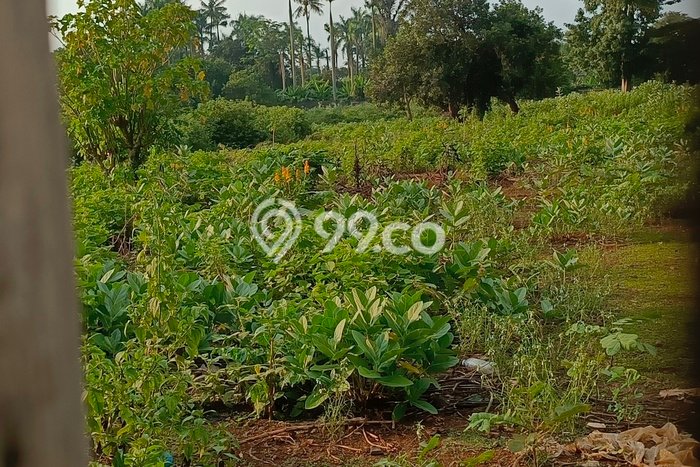 Tanah Dijual di Depok Seluas 40000m2 Strategis Tanah Dijual di Depok Seluas 40000m2 Strategis