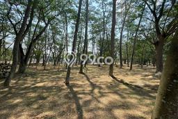 Kavling Tanah untuk Dijual di BSD Bukit Golf, Tangerang, Luas 3557m2 Kavling Tanah untuk Dijual di BSD Bukit Golf, Tangerang, Luas 3557m2