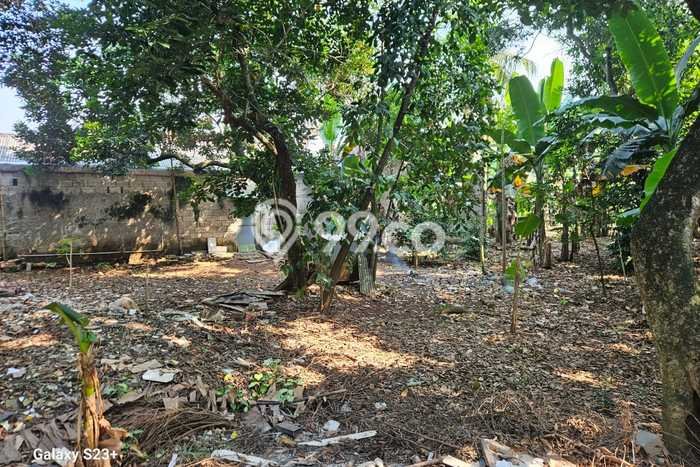 Dijual Tanah di Bogor, Luas 2000m2 SHM Dijual Tanah di Bogor, Luas 2000m2 SHM