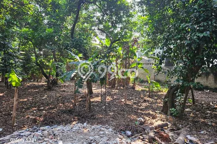 Dijual Tanah di Bogor, Luas 2000m2 SHM Dijual Tanah di Bogor, Luas 2000m2 SHM