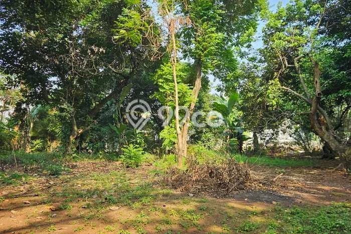 Lahan Dijual Lokasi Strategis di Bogor dengan Luas 7000m2 Lahan Dijual Lokasi Strategis di Bogor dengan Luas 7000m2