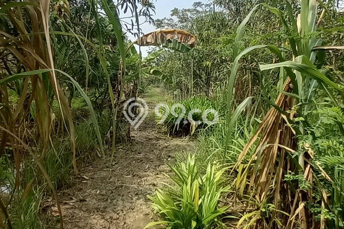 Kavling Tanah Dijual di Sukatani Bekasi Spesifikasi 11591m2 Kavling Tanah Dijual di Sukatani Bekasi Spesifikasi 11591m2
