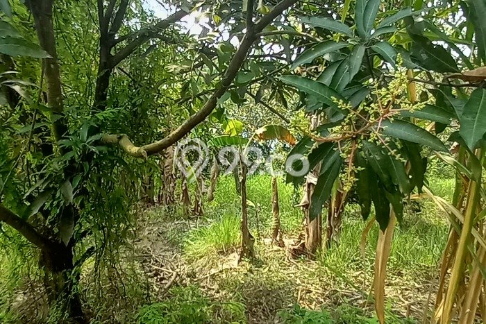Kavling Tanah Dijual di Sukatani Bekasi Spesifikasi 11591m2 Kavling Tanah Dijual di Sukatani Bekasi Spesifikasi 11591m2