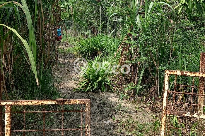 Kavling Tanah Dijual di Sukatani Bekasi Spesifikasi 11591m2 Kavling Tanah Dijual di Sukatani Bekasi Spesifikasi 11591m2