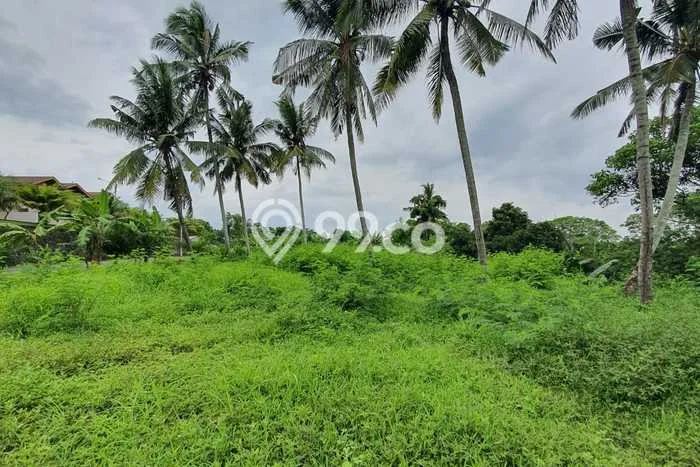 Tanah Kavling Dijual di Badung dengan Spesifikasi 1898m2 Tanah Kavling Dijual di Badung dengan Spesifikasi 1898m2
