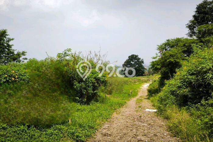 Tanah Dijual di Bandung Seluas 1000m2 Strategis Tanah Dijual di Bandung Seluas 1000m2 Strategis