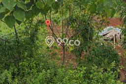Lahan Strategis di Cisauk Dijual dengan Luas 175m2 Lahan Strategis di Cisauk Dijual dengan Luas 175m2