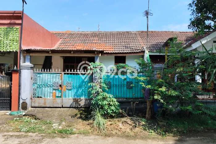 Dijual Rumah Siap Huni di Tajur Halang Bogor Harga Rp 420 Juta LT 84m2 Dijual Rumah Siap Huni di Tajur Halang Bogor Harga Rp 420 Juta LT 84m2