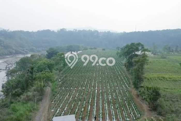 Tanah di Ranca Bungur, Bogor Luas 30028m2 Dijual Segera Tanah di Ranca Bungur, Bogor Luas 30028m2 Dijual Segera