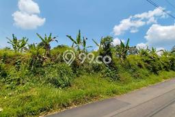 Kavling Tanah Dijual di Leuwisadeng Bogor Spesifikasi 4444m2 Kavling Tanah Dijual di Leuwisadeng Bogor Spesifikasi 4444m2
