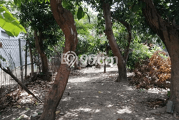 Dijual Tanah Area Berkembang di Denpasar Timur, Luas 532m², Akses Denpasar Timur, Denpasar, Denpasar Dijual Tanah Area Berkembang di Denpasar Timur, Luas 532m², Akses Denpasar Timur, Denpasar, Denpasar