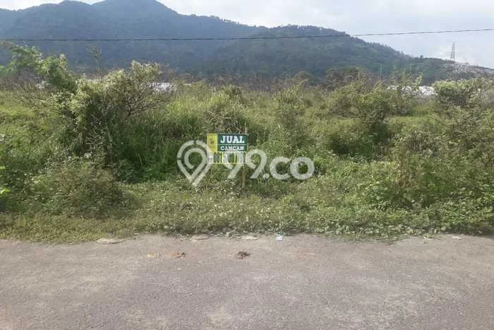 Tanah Investasi Dijual di Sumedang Punya Luas 5000m2 Tanah Investasi Dijual di Sumedang Punya Luas 5000m2
