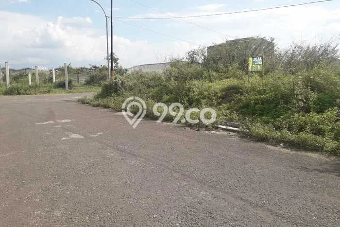 Tanah Investasi Dijual di Sumedang Punya Luas 5000m2 Tanah Investasi Dijual di Sumedang Punya Luas 5000m2