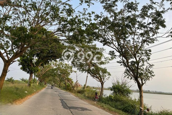 Dijual Tanah di Sayung Demak Luas 13897m2 SHM Dijual Tanah di Sayung Demak Luas 13897m2 SHM