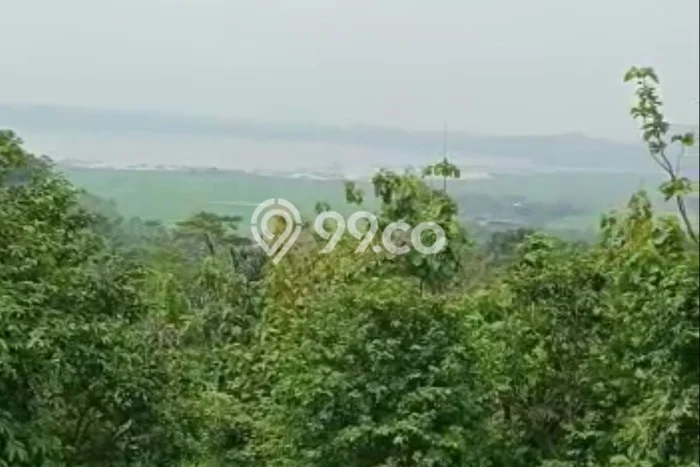 Kavling Tanah di Banyubiru Dijual Luas 40300m2 Legalitas SHM Kavling Tanah di Banyubiru Dijual Luas 40300m2 Legalitas SHM