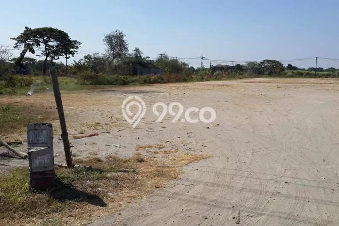 Lahan Kosong Dijual di Klaten dengan Area 13499m2 Lahan Kosong Dijual di Klaten dengan Area 13499m2