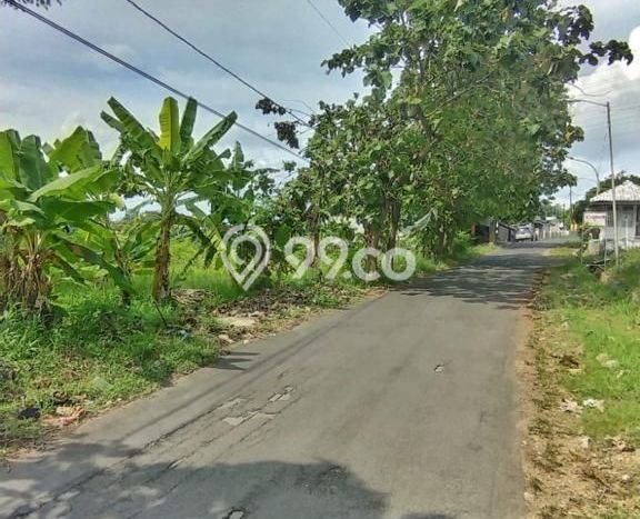 Tanah Siap Bangun Dijual di Semarang Punya Luas 13945m2 Tanah Siap Bangun Dijual di Semarang Punya Luas 13945m2