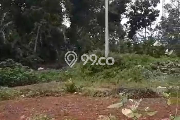 Jarang Ada! Tanah di Batang Punya Luas 3782m2 SHM Jarang Ada! Tanah di Batang Punya Luas 3782m2 SHM
