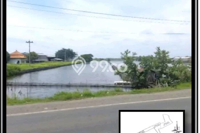 Jarang Ada! Tanah di Kaliwungu Punya Luas 79244m2 SHM Jarang Ada! Tanah di Kaliwungu Punya Luas 79244m2 SHM