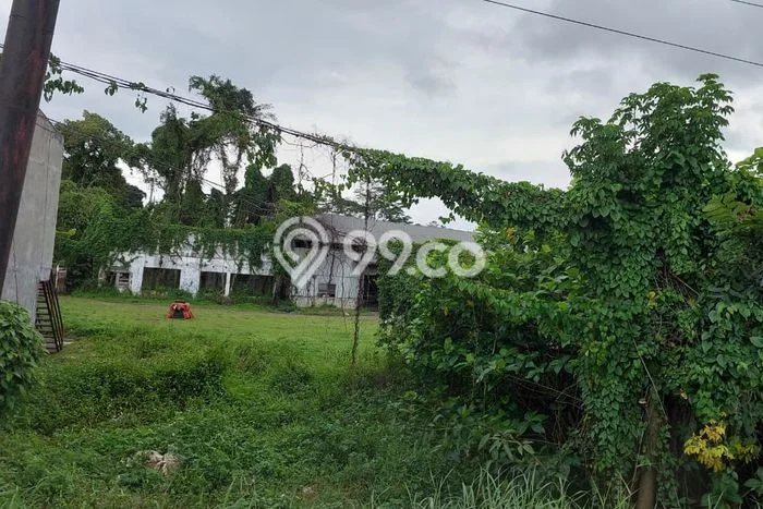 Gudang Bagus Dijual LB 2000m2 Lokasi Strategis Semarang Area Cocok untuk Berbisnis Gudang Bagus Dijual LB 2000m2 Lokasi Strategis Semarang Area Cocok untuk Berbisnis