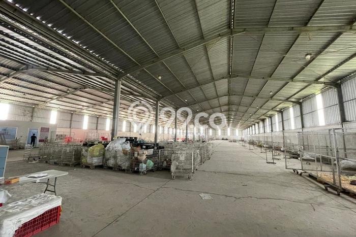Gudang Disewakan Lokasi Batang Batang Harga Spesial! Gudang Disewakan Lokasi Batang Batang Harga Spesial!