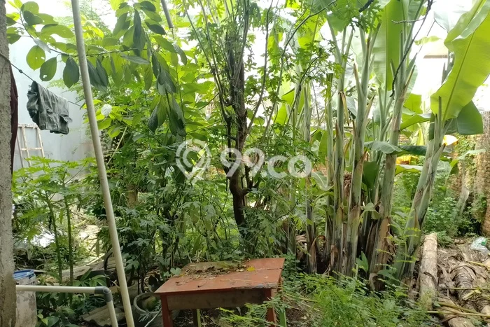 Lahan Investasi Lokasi Bekasi Timur Bekasi SHM Lahan Investasi Lokasi Bekasi Timur Bekasi SHM