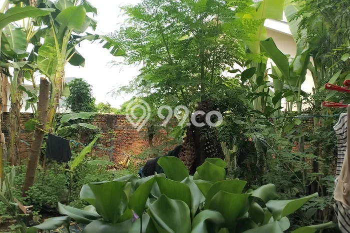 Lahan Investasi Lokasi Bekasi Timur Bekasi SHM Lahan Investasi Lokasi Bekasi Timur Bekasi SHM