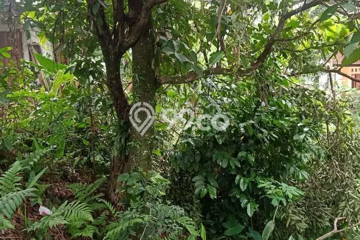 Lahan Kosong Dijual di Bogor dengan Area 126m2 Lahan Kosong Dijual di Bogor dengan Area 126m2