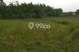 Dijual Tanah di Trawas Mojokerto Luas 1160m2 SHM Dijual Tanah di Trawas Mojokerto Luas 1160m2 SHM