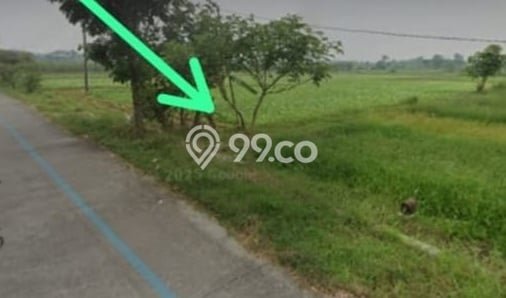 Tanah Investasi Dijual di Mojokerto Punya Luas 272m2 Tanah Investasi Dijual di Mojokerto Punya Luas 272m2