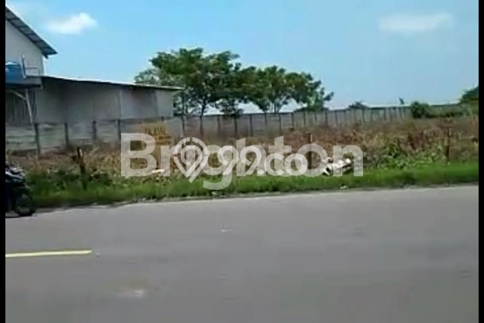 Lahan untuk Dijual Lokasi Widang, Tuban Luas 40000m2 SHM Lahan untuk Dijual Lokasi Widang, Tuban Luas 40000m2 SHM
