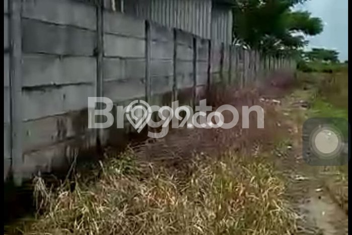 Lahan untuk Dijual Lokasi Widang, Tuban Luas 40000m2 SHM Lahan untuk Dijual Lokasi Widang, Tuban Luas 40000m2 SHM