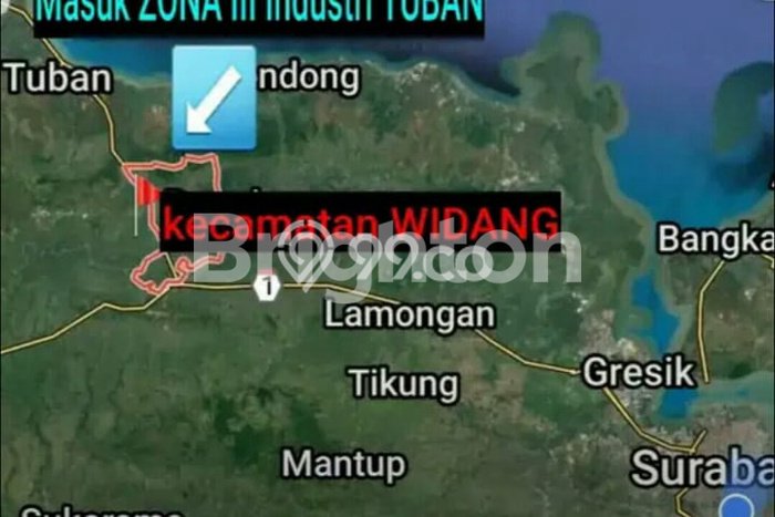 Lahan untuk Dijual Lokasi Widang, Tuban Luas 40000m2 SHM Lahan untuk Dijual Lokasi Widang, Tuban Luas 40000m2 SHM