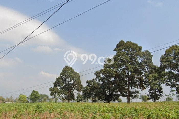 Tanah Kavling di Margoyoso Dijual dengan Luas 12259m2 Tanah Kavling di Margoyoso Dijual dengan Luas 12259m2