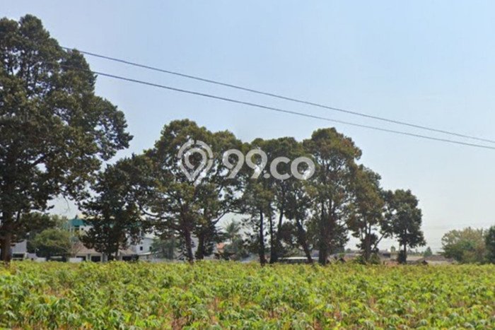 Tanah Kavling di Margoyoso Dijual dengan Luas 12259m2 Tanah Kavling di Margoyoso Dijual dengan Luas 12259m2