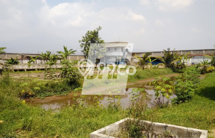 Lahan Dijual Lokasi Soreang, Bandung dengan Luas Tanah 9000m2 dan Status SHM Lahan Dijual Lokasi Soreang, Bandung dengan Luas Tanah 9000m2 dan Status SHM