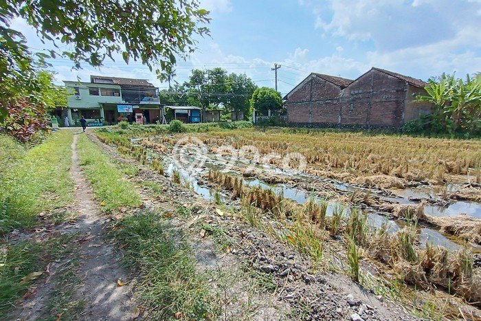 HARGA MENARIK! Tanah di Berbah, Luas 144m2m², Kawasan Potensial HARGA MENARIK! Tanah di Berbah, Luas 144m2m², Kawasan Potensial